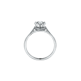 5 Jewellery Simple product
